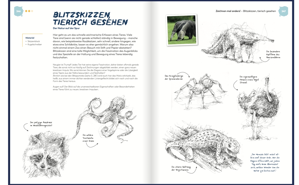 Bilder von Aliki: Entdecke die Welt des Zeichnens!