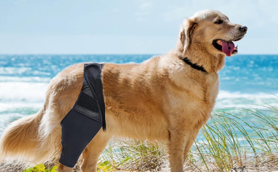 Dog Knee Brace, Dog Leg Braces for Back Leg, Dog Knee Support Sleeve