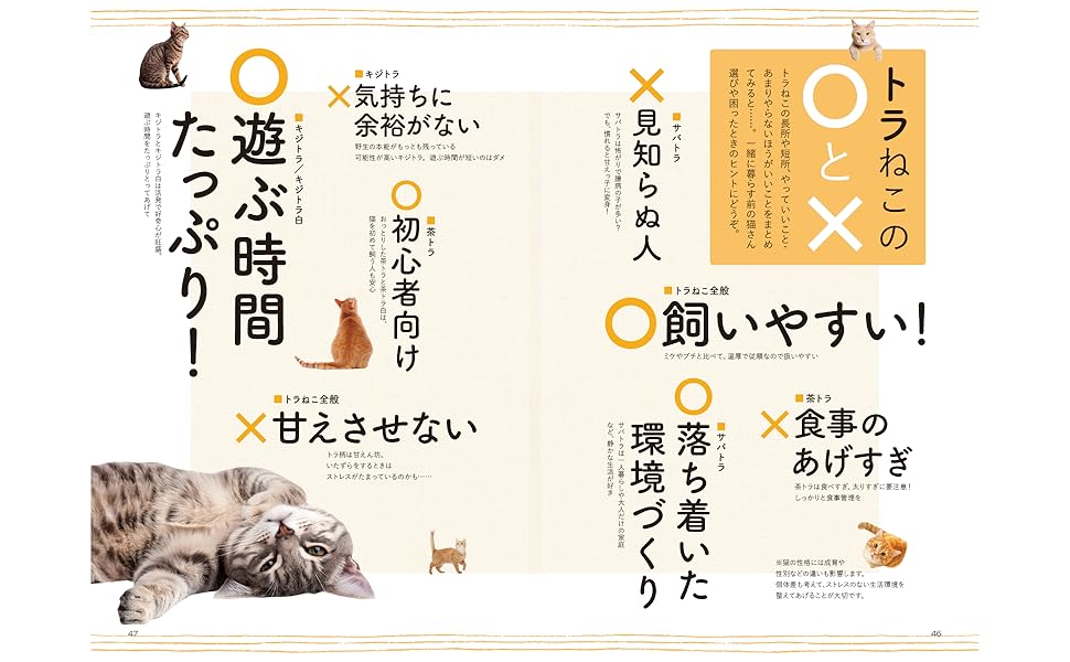 とらねこページ so-274_color01.jpg