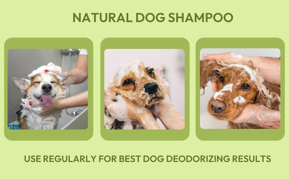 Buy ZOIVANE Cado Neem Dog Shampoo 1 L Dog Anti Dandruff Shampoo