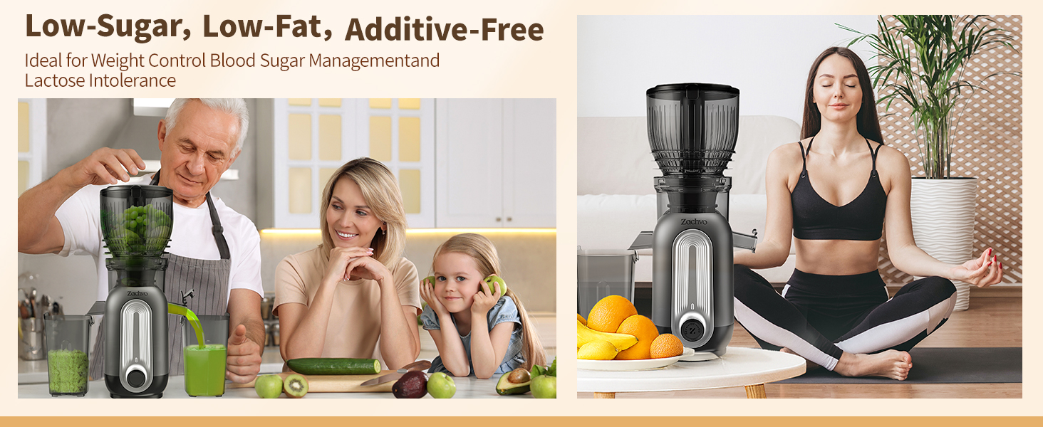 Cold Press Juicer Machines A+04