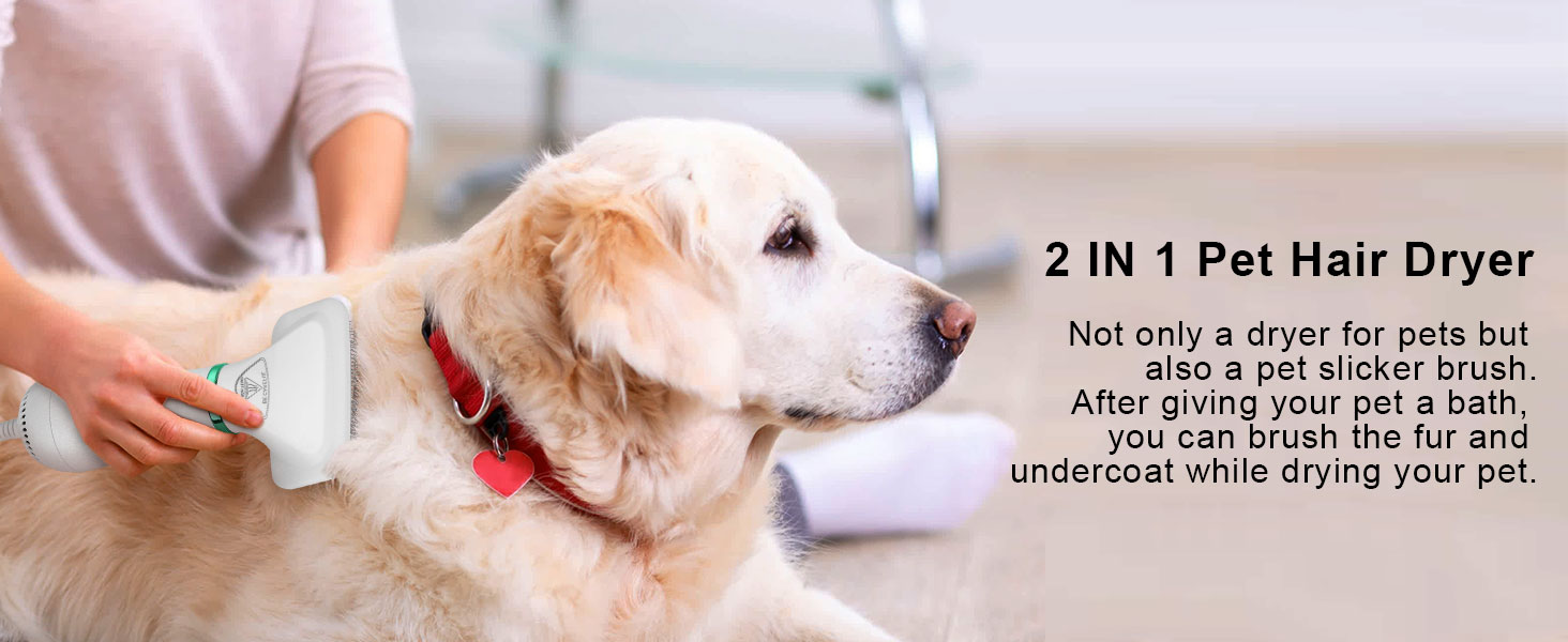 pet hair dryer brush