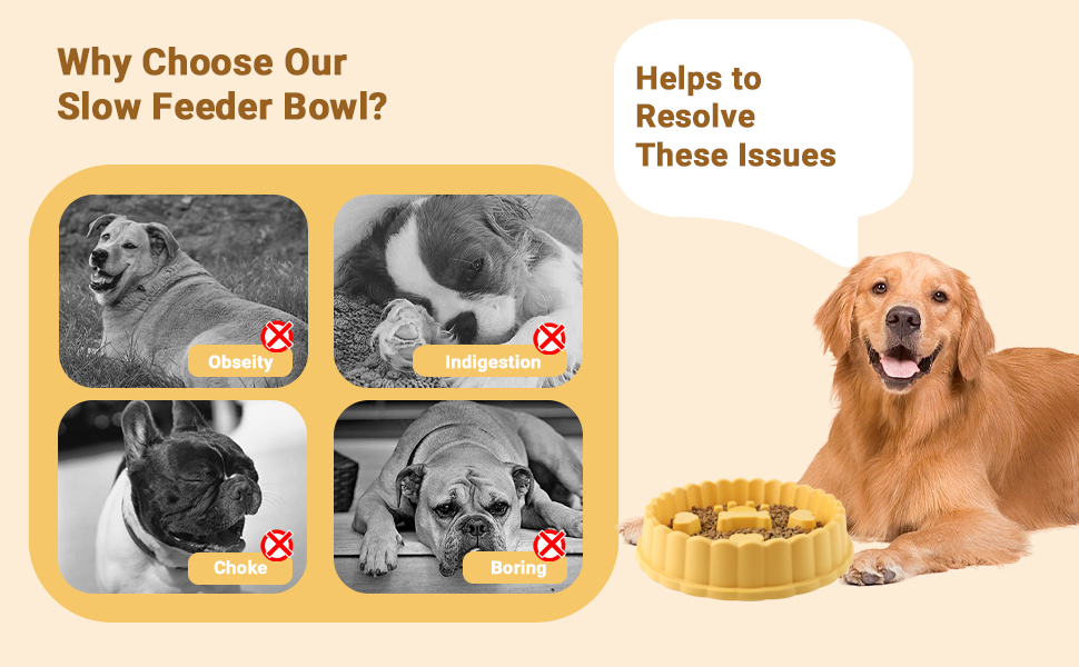 TinyWiz 𝐒𝐥𝐨𝐰 𝐅𝐞𝐞𝐝𝐞𝐫 𝐃𝐨𝐠 𝐁𝐨𝐰𝐥𝐬 𝐟𝐨𝐫 𝐋𝐚𝐫𝐠𝐞 𝐃𝐨𝐠𝐬, AntiChoking