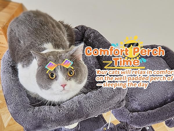 coco★cat Coco the coconut cat! | Dandy's World Fanon Wiki | Fandom