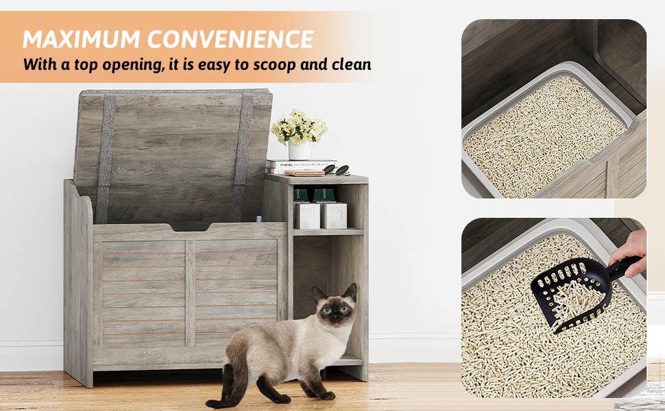 Cat Litter Box Enclosures