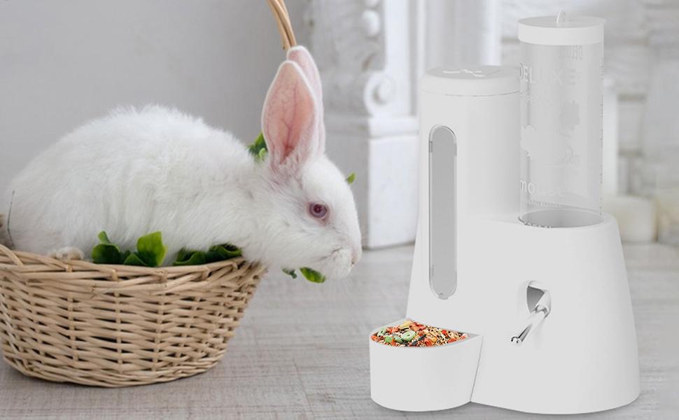 Trinkflasche für Nagetiere