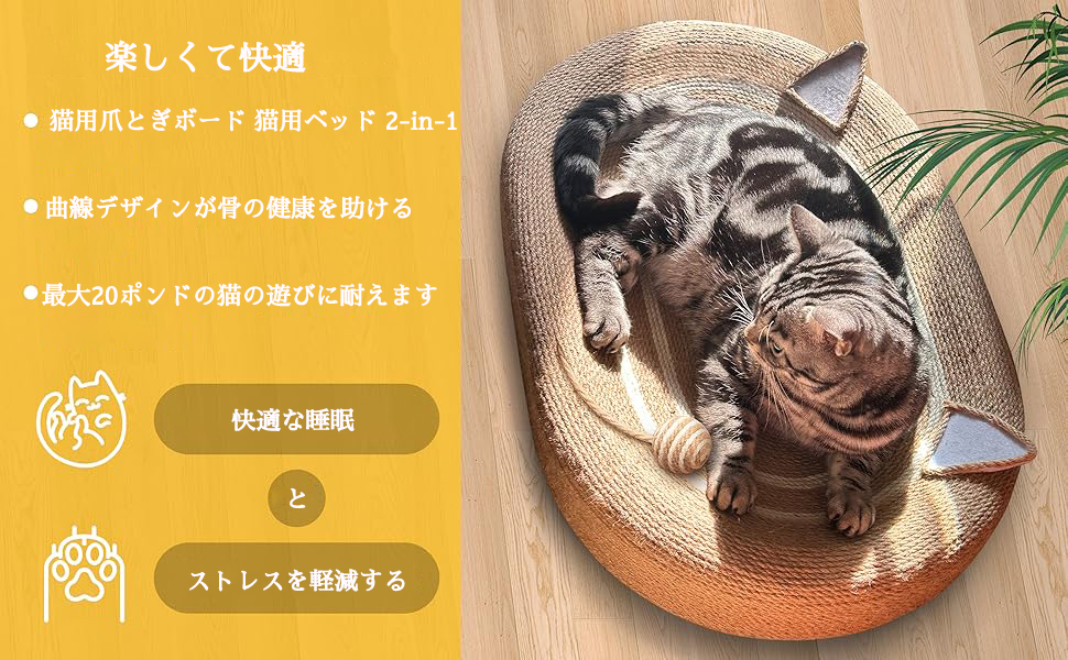 猫の爪削り