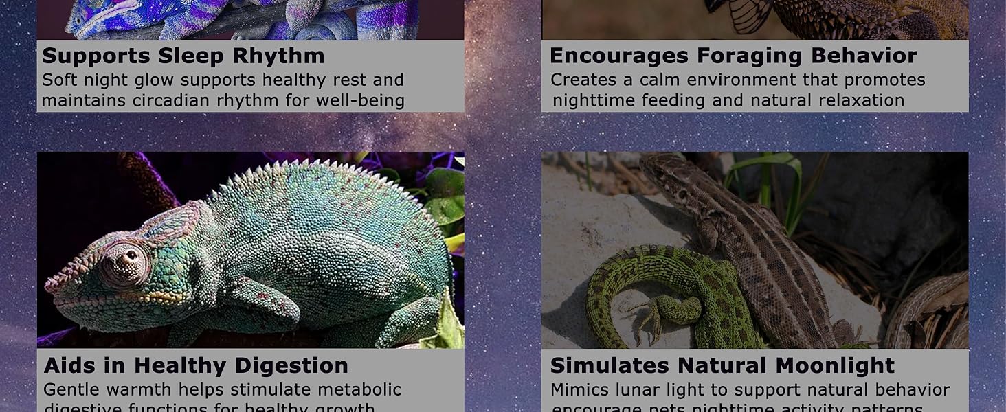 HARTOMPET Reptile Moonlight Heat Lamp R63