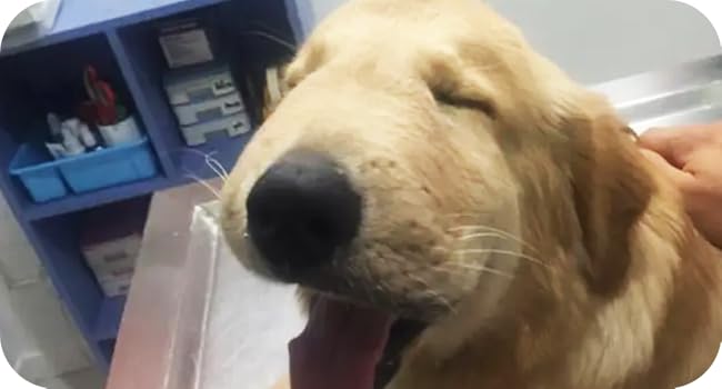 Large manufacture image 6