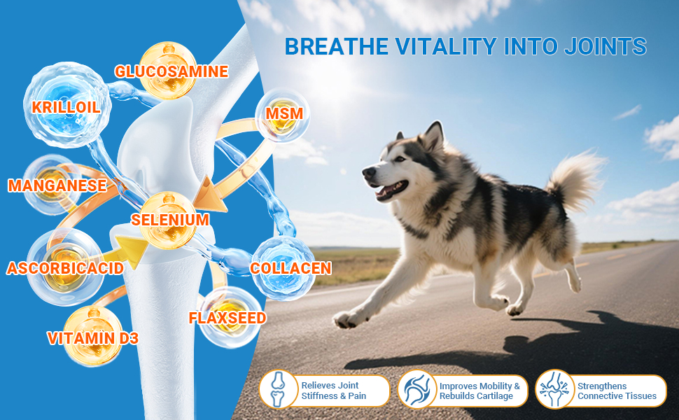 mushroom supplement for dogs