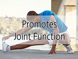 glucosamine chondroitin
