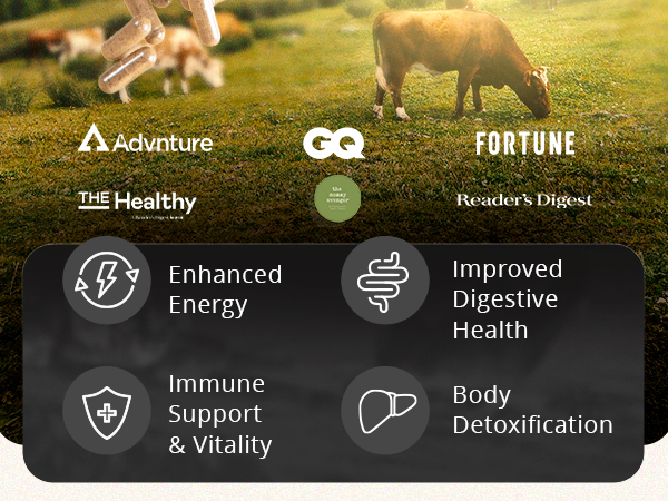 ancestral beef organs supplements for men natural iron supplement mineral super