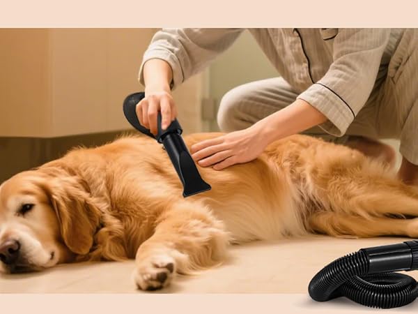 NEWTRY ペットドライヤー 犬用 ペット用 ドライヤー ブロワー 送風機 Amazon | NEWTRY ペットドライヤー 犬用 ペット用 ドライヤー