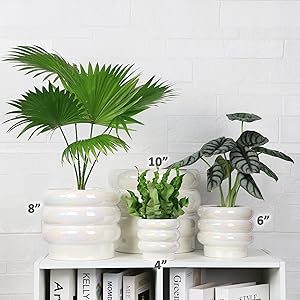 4inch- 10inch:Different pots size display