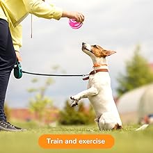 herding ball for dogs