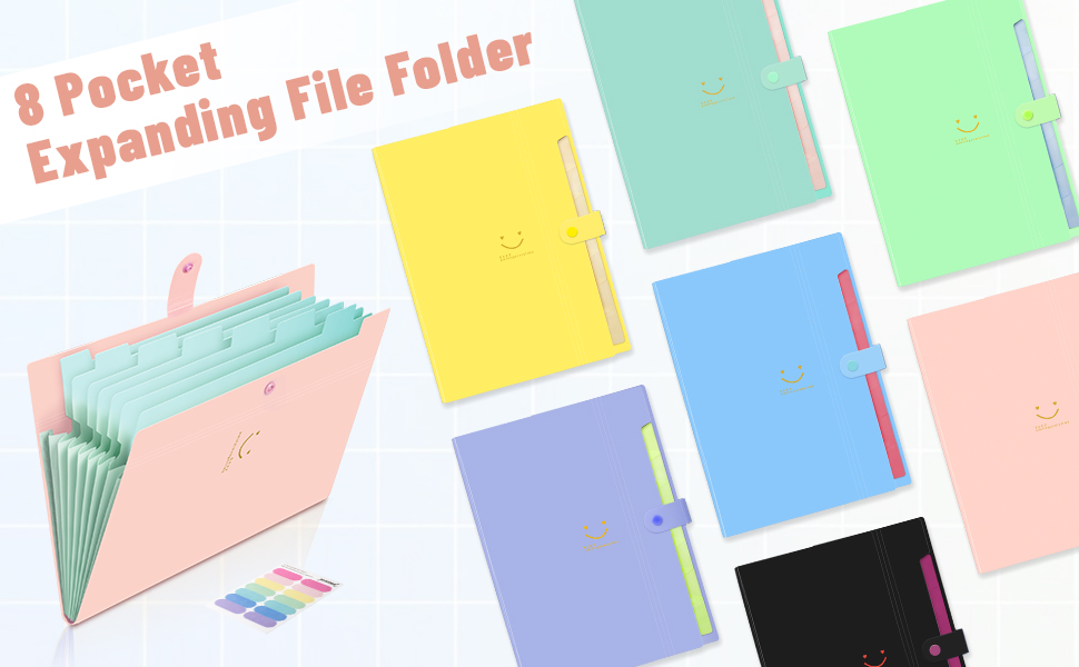 Accordion File Organizer