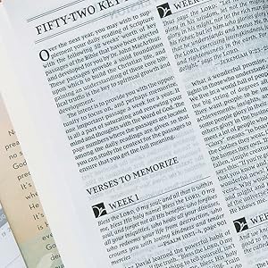 memory verses NASB new king james version elegant bible high quality bible timeless bible gold 