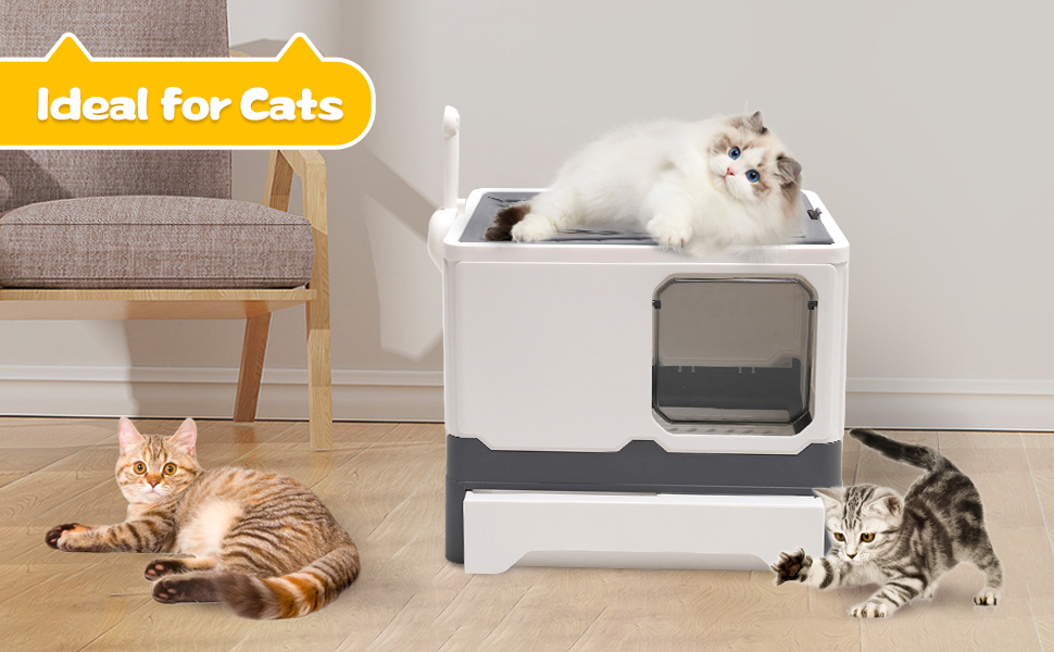 Foldable Cat Litter Box,Top Entry Covered Litter Box for Cats.Large