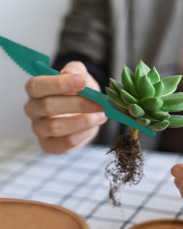 Seed Starter Kit