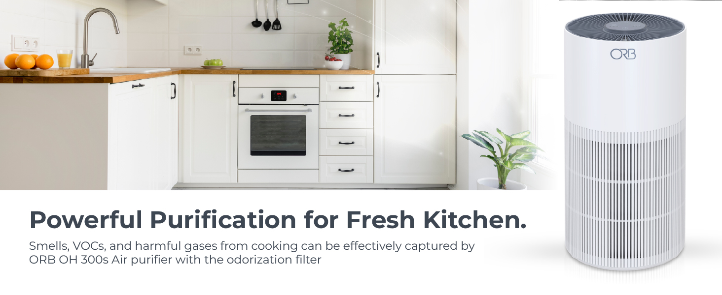 air purifier for kitchen