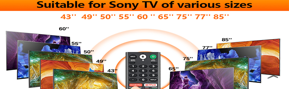Sony Voice Remote
