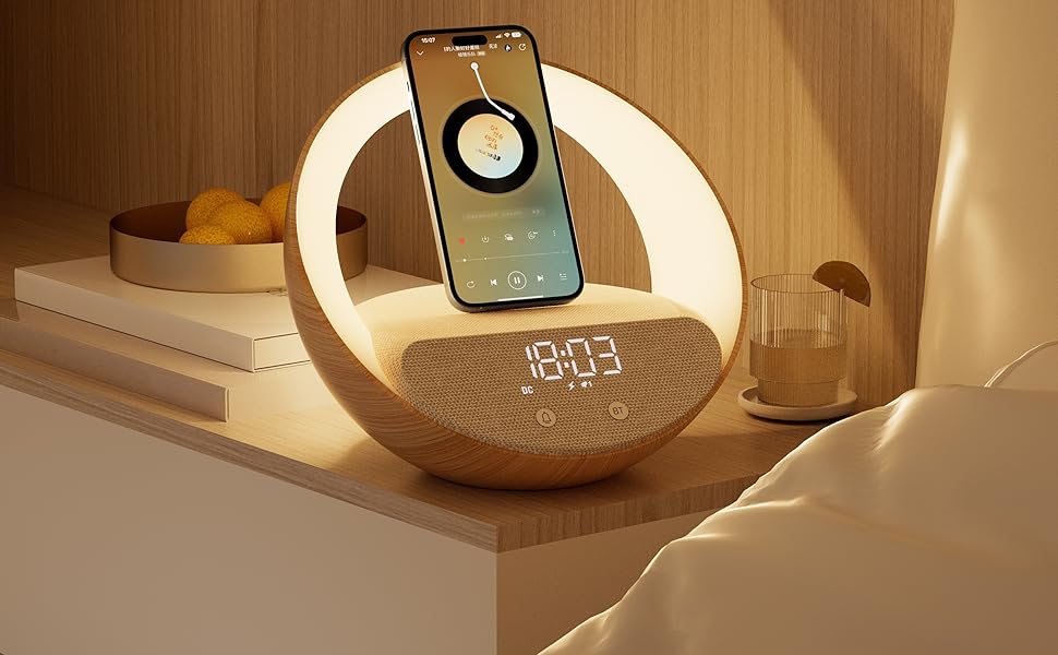 Smart Dock1