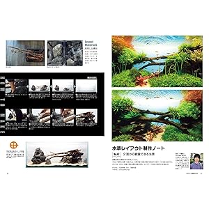 日本語版 テトラ 世界のアクアリウム情報誌 1979～1981年 創刊号～8冊 月刊アクアライフ 2025年 8 月号 昭和100年のアクアリウム