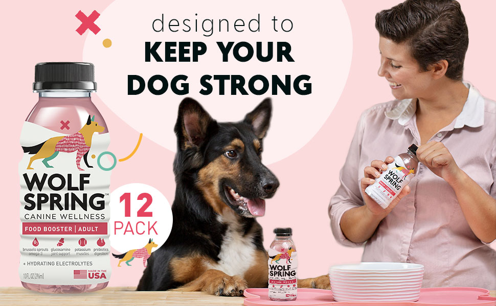 happy healthy adult dog drinking multivitamin water for skin coat and joint support pet supplement