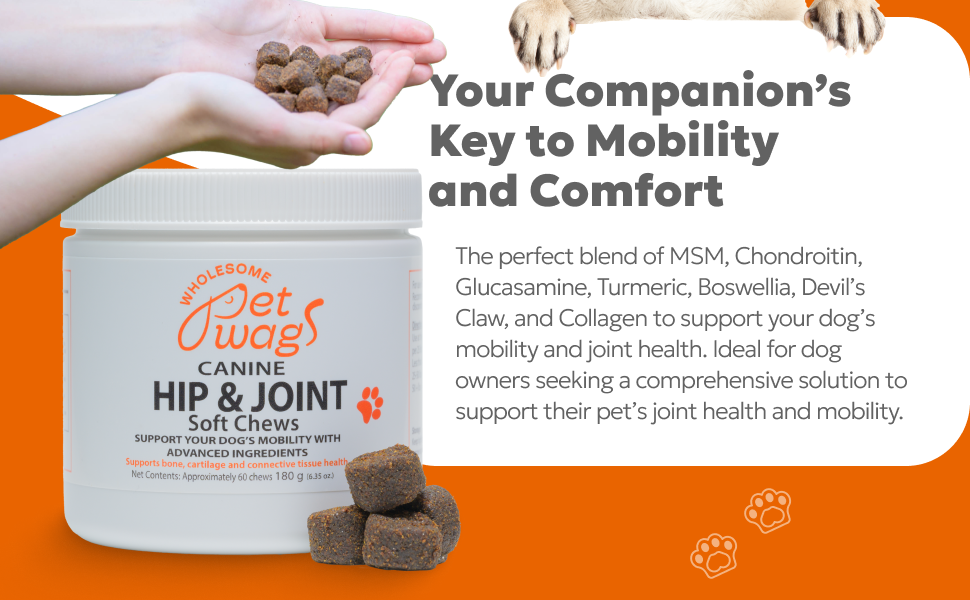 Wholesome Pet Wags Hip & Joint