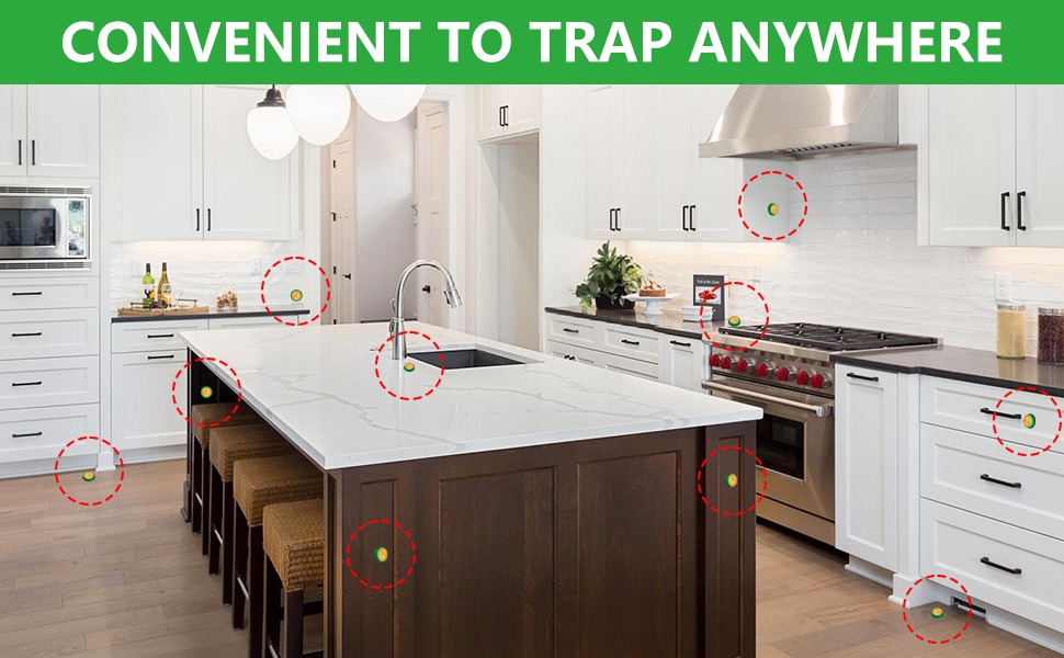 Cockroach Killer for Kitchens