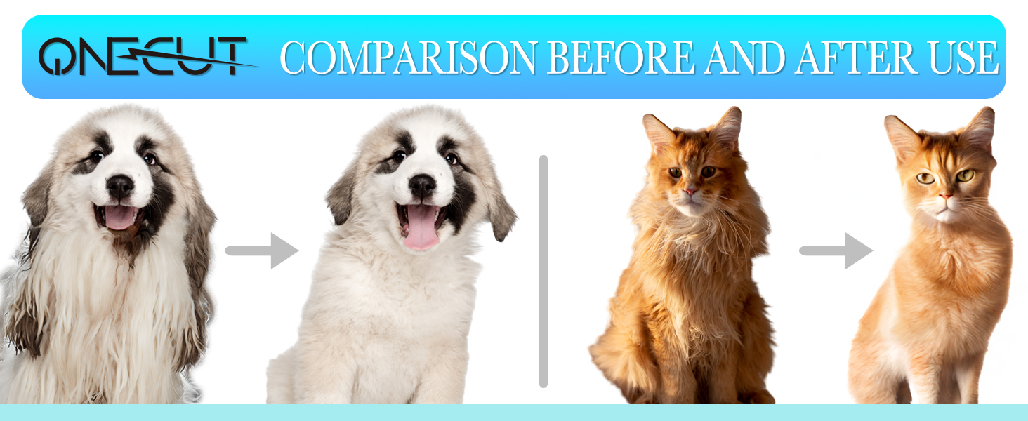 comparison before and after use