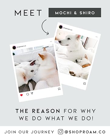 Meet Mochi &amp; Shiro, the reason for why we do what what we do