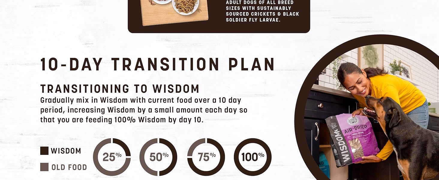 Wisdom Food V2