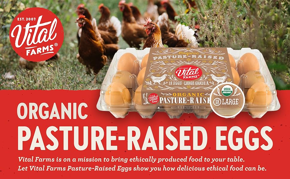 Vital Farms Organic PastureRaised Large Eggs 18ct Grocery & Gourmet Food