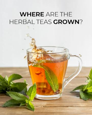 Our teas are rooted in Vietnam’s fertile lands, known for producing some of the finest herbal teas