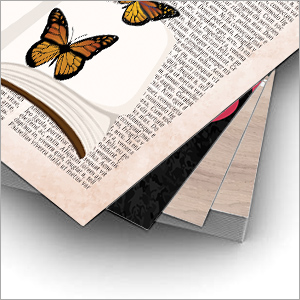 Book quotes framed posters