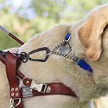 Locking Carabiner Clips for dog leash