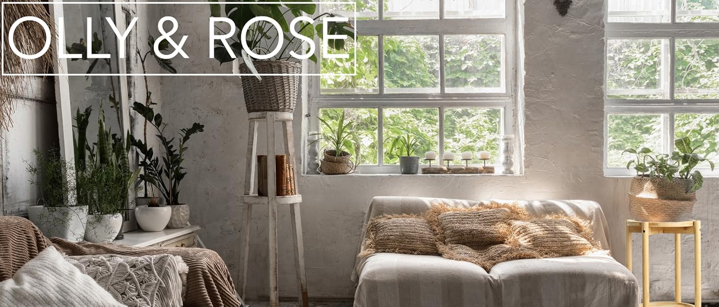 olly & rose home