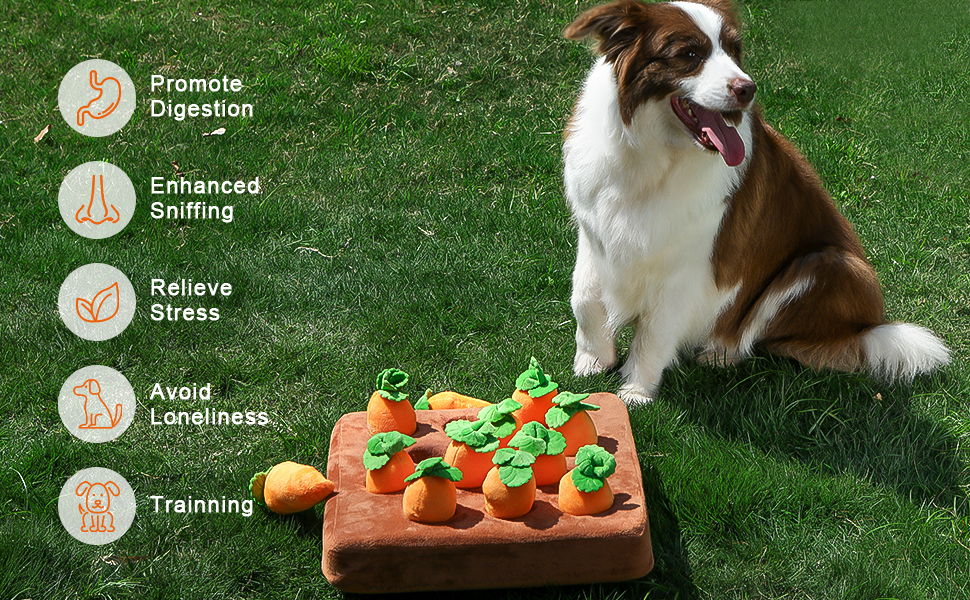 WOHIU Snuffle Mat，Squeak Carrot Snuffle Mat for Dogs Plush