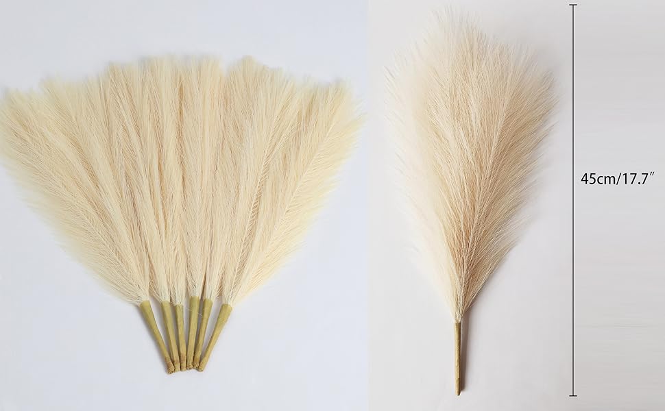 falso erba della pampa