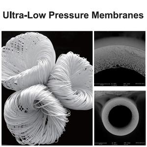 filtration membrane