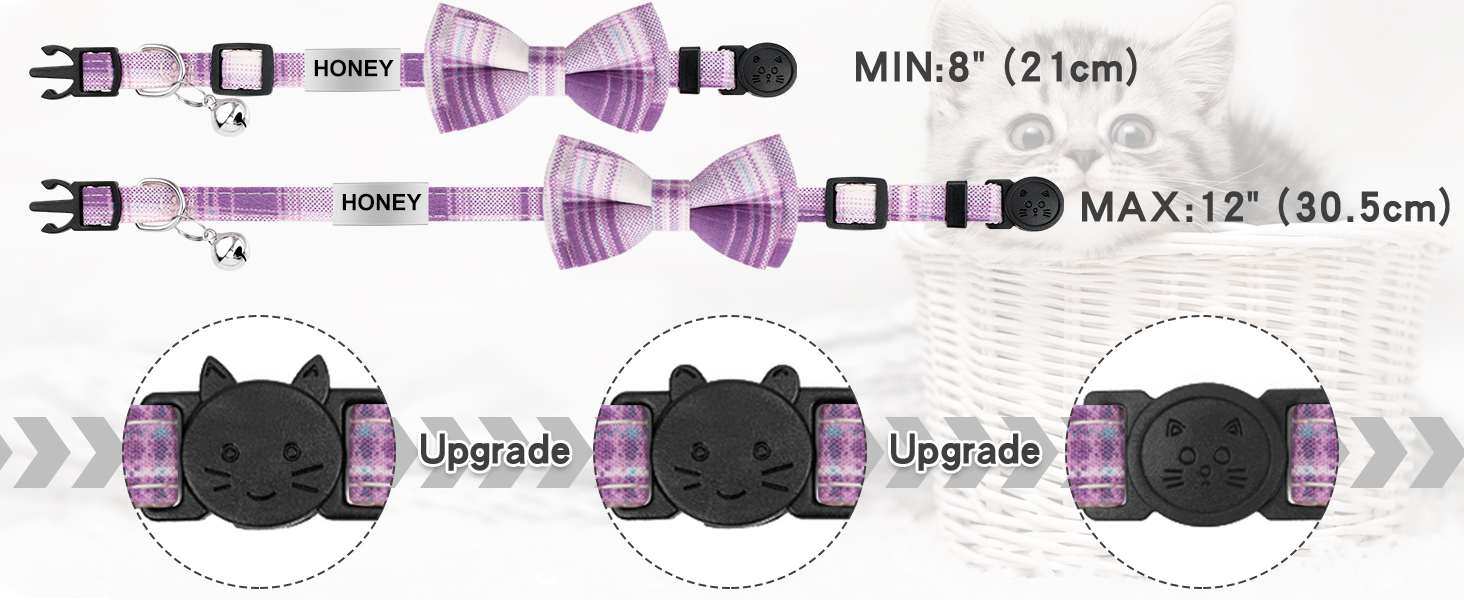 cat collar