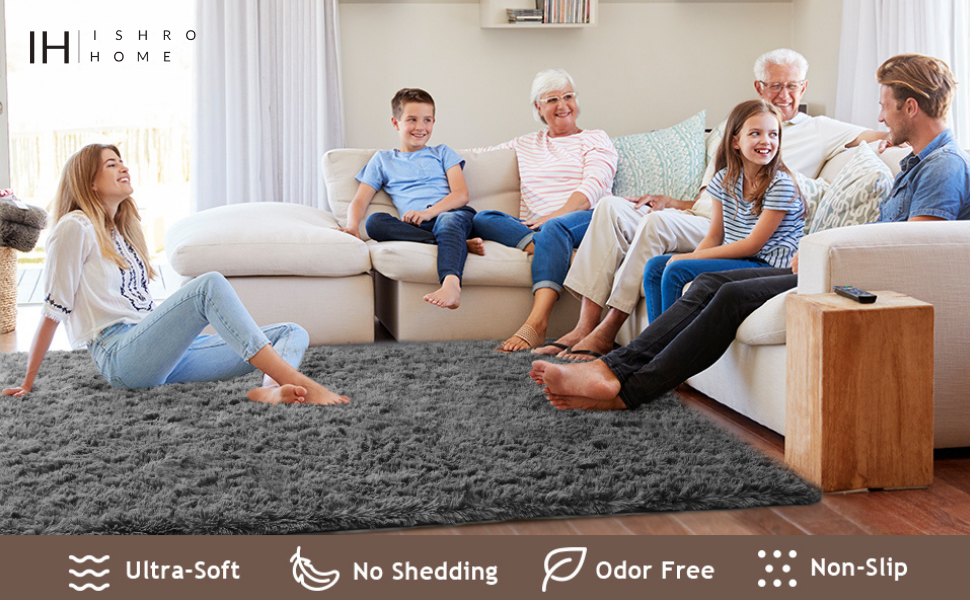 Buy Ishro Home Premium Carpets for Living Room/Rugs for Living Room