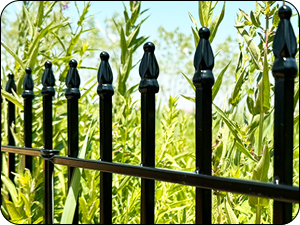 FENCE