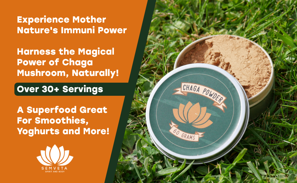 organically grown chaga mushroom chaga mushroom for tea and coffee used for milennia as a chaga tea