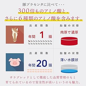 kuu サラブレッドプラセンタ4点おまとめ 楽天市場】母の滴 サラブレッド 100 ( サプリ 馬プラセンタ 女性