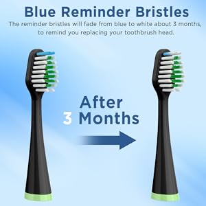 waterpik toothbrush heads
