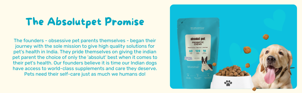 dog supplement for gut health, probiotics for supplement, supplement for dogs