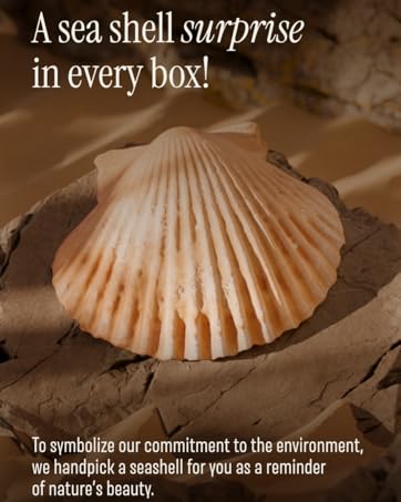 Sea Shell