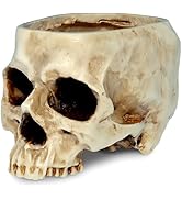 READAEER Skull Planter with Drain Hole, Resin Skull Shaped Flower Pot Candy Bowl, Gothic Decorati...